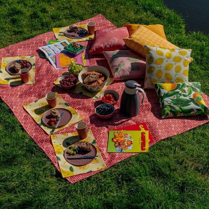 Picknickkleed2.jpg
